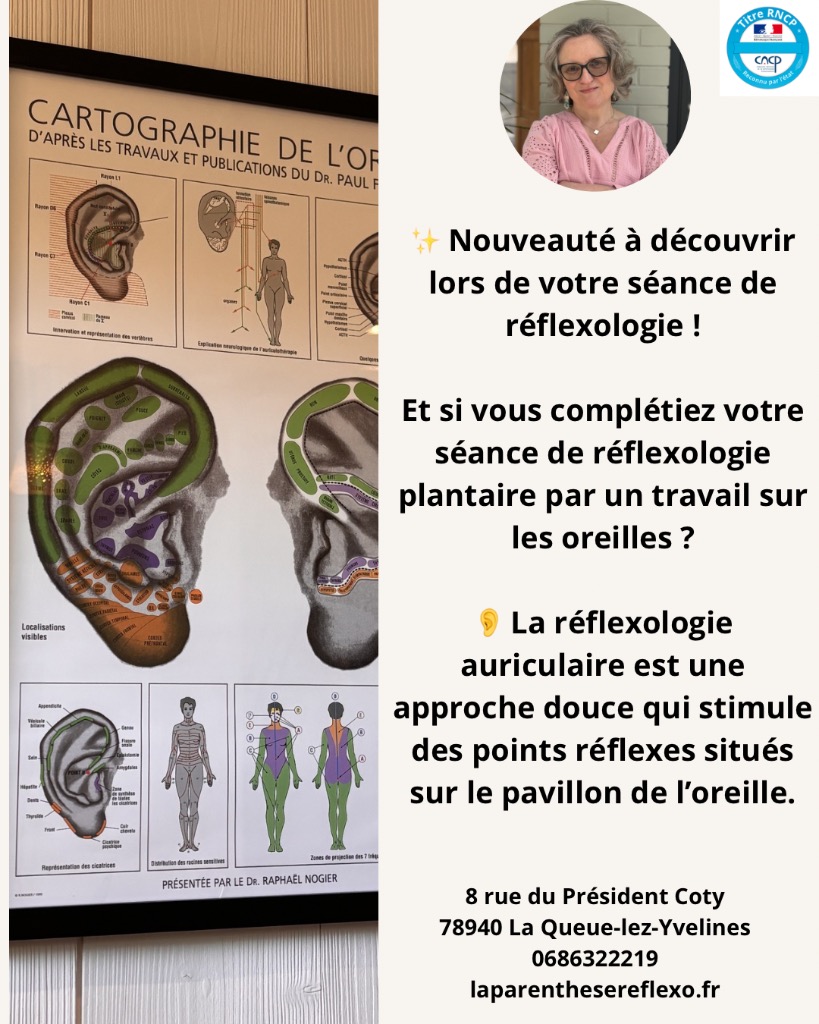 illustration Réflexologie auriculaire