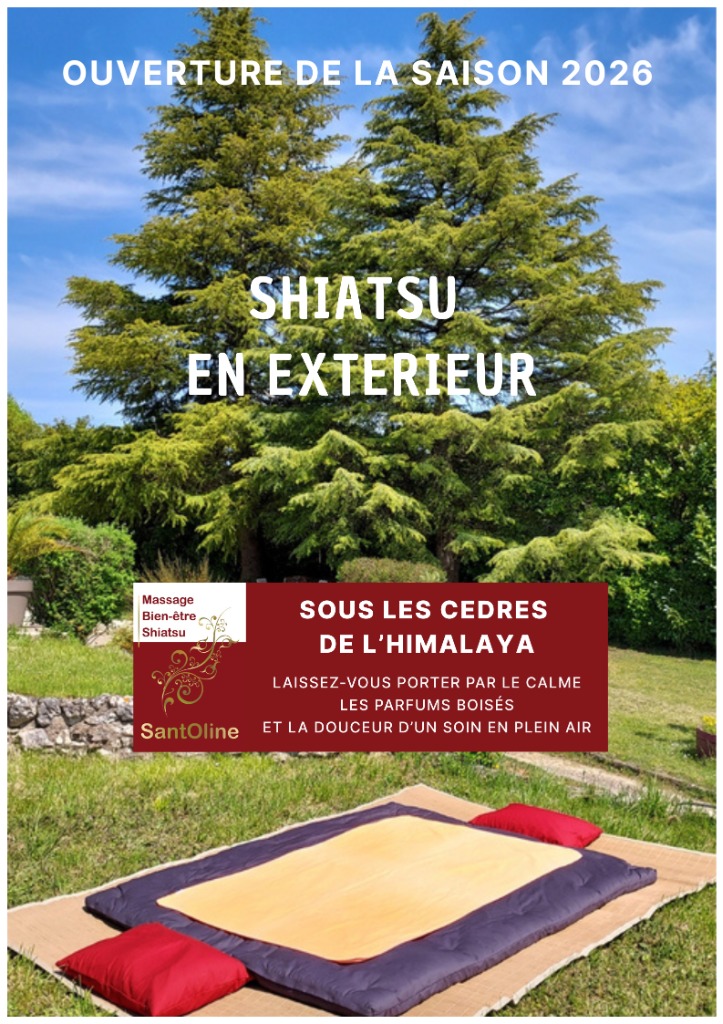 illustration Shiatsu sous les cèdres de l'Himalaya