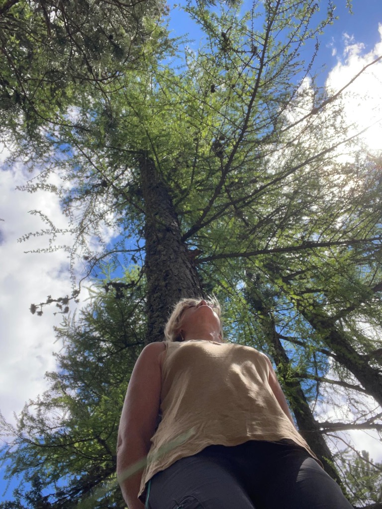 illustration Bain de forêt sur la thématique du goût  « yoga et cacao »