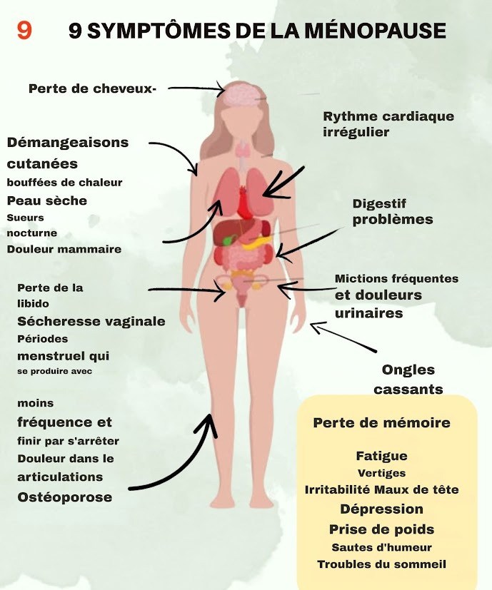 illustration Questionnaires déséquilibres hormonaux et micro-nutritionnels en ligne et synthèse