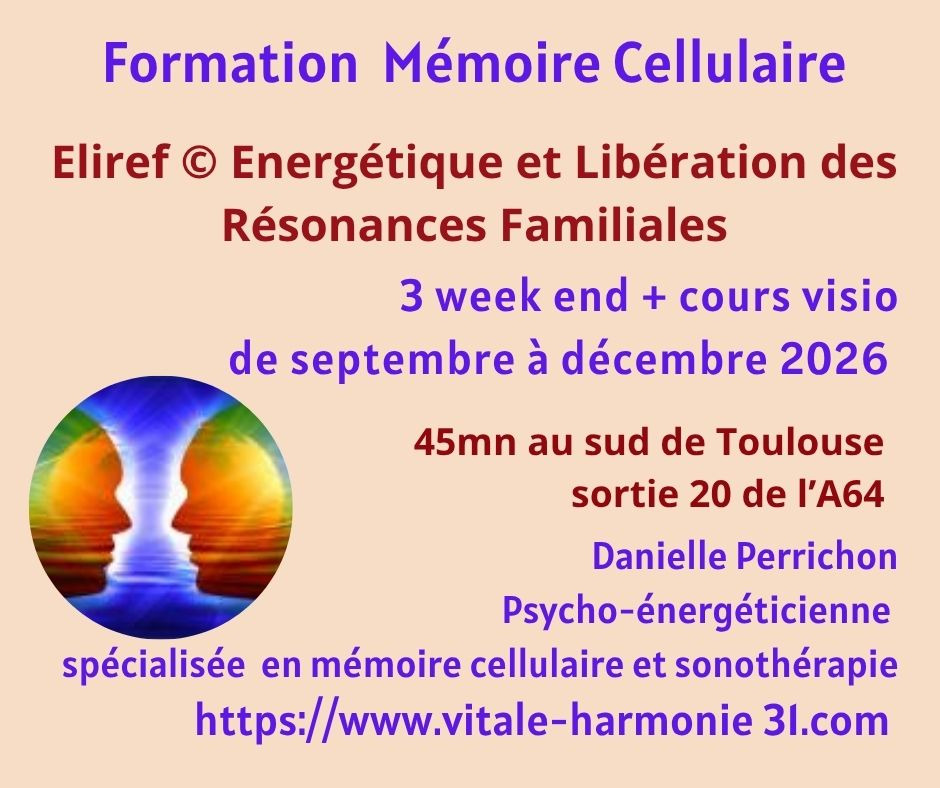 illustration Mémoire cellulaire, énergétique et libération des résonances familiales
