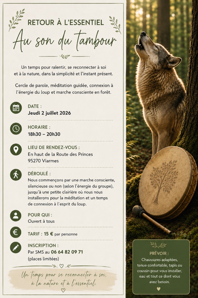 illustration Jeudi 2 juillet - Sortie en forêt – méditation au son du tambour – rencontre avec l’esprit du loup🌿🐺