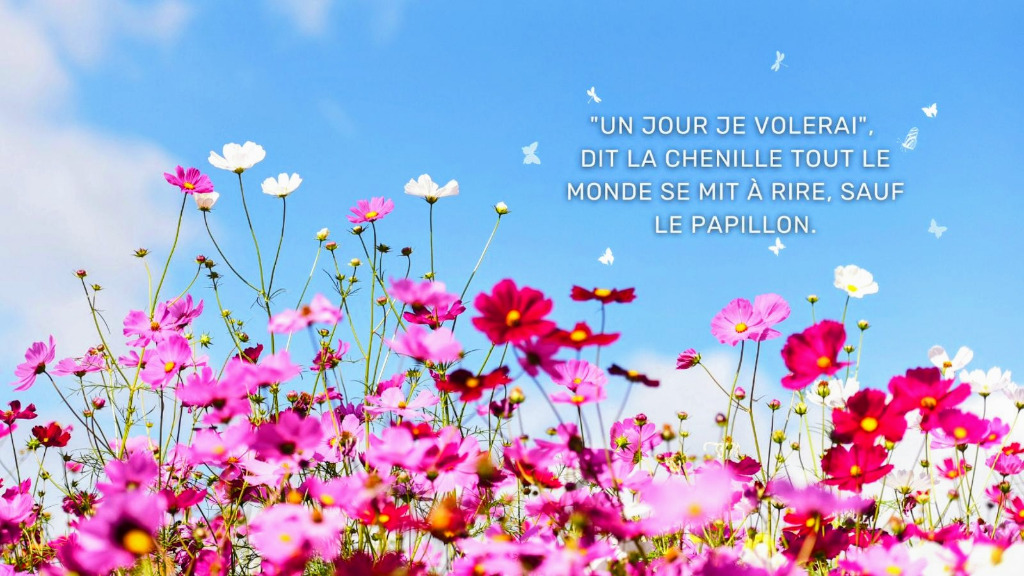 illustration 🦋 Oser entrer dans le cocon pour découvrir ses ailes !