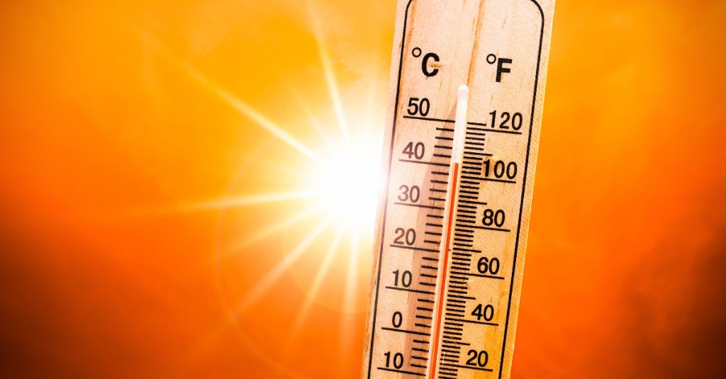illustration ☀️ Canicule et isolement : prendre soin de son bien-être mental