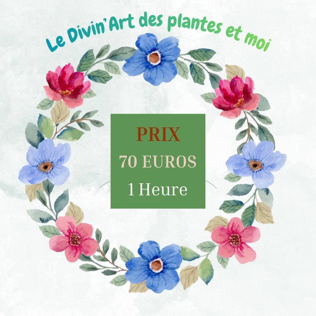 illustration Massage " Le Divin'Art des plantes et moi