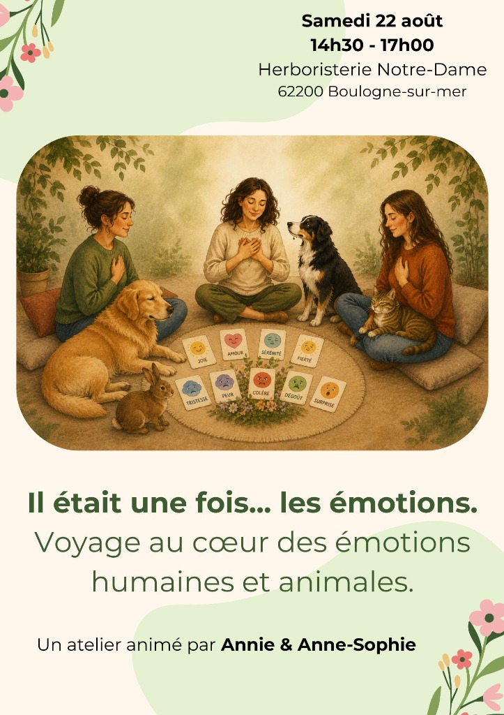 illustration Il était une fois...les émotions. Voyage au cœur des émotions humaines et animales.