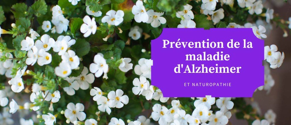 illustration Prévention de la maladie d’Alzheimer
