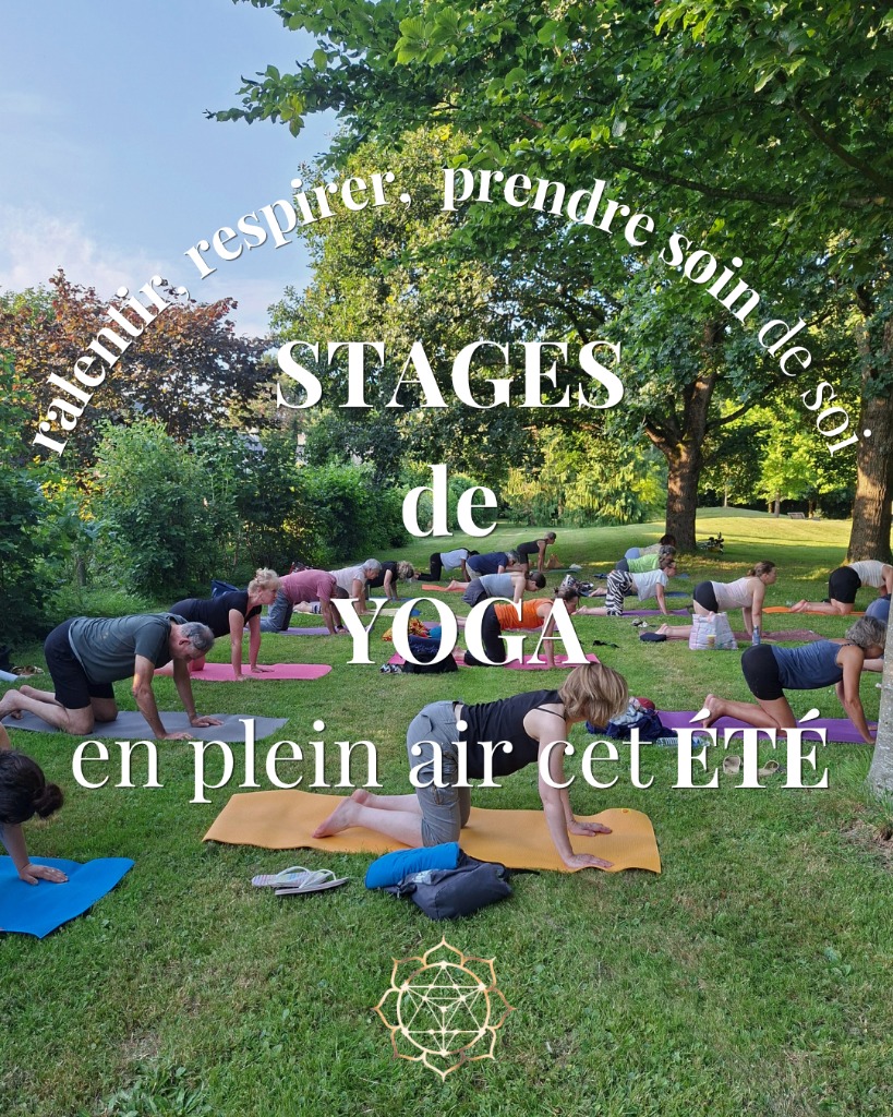 illustration STAGES de YOGA en plein air cet été