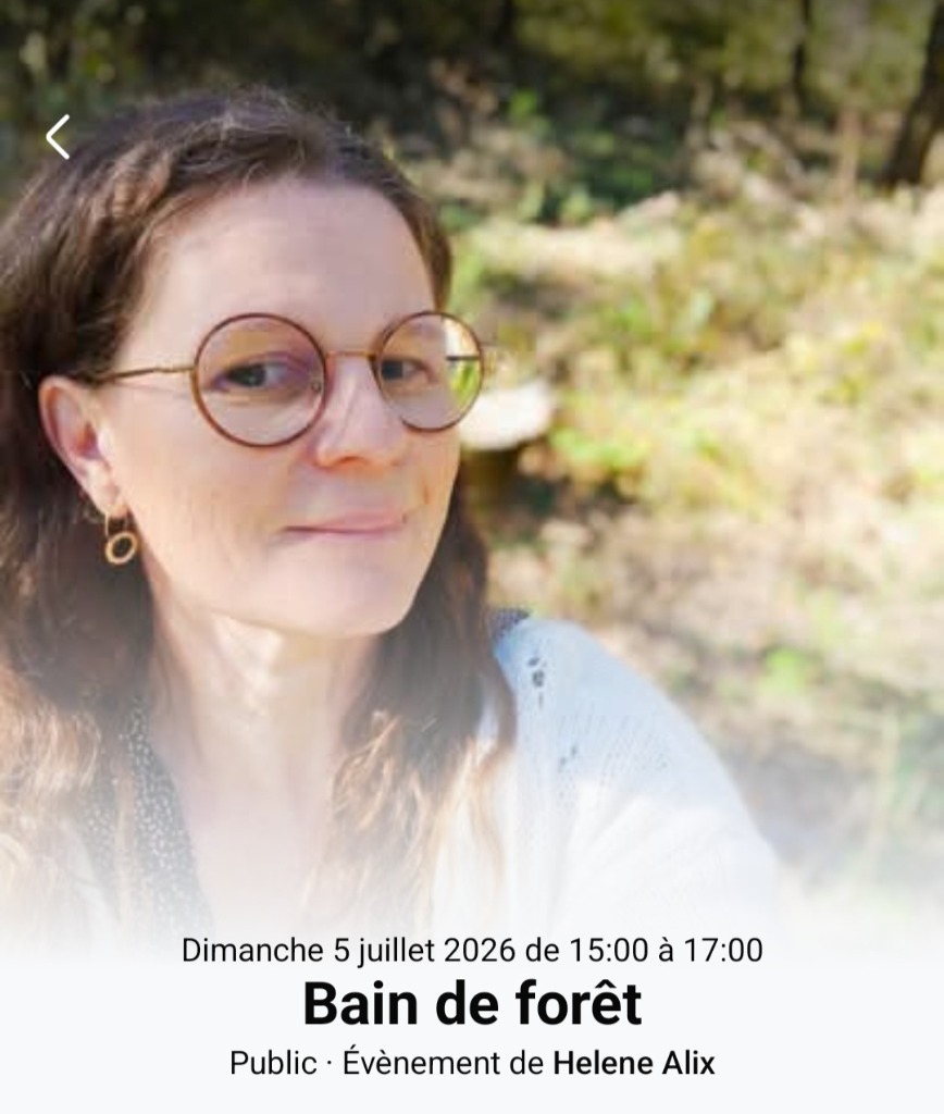 illustration BAIN DE FORET 2