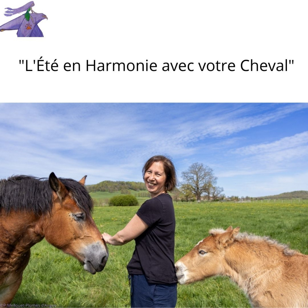 illustration "L'Été en Harmonie avec votre Cheval"