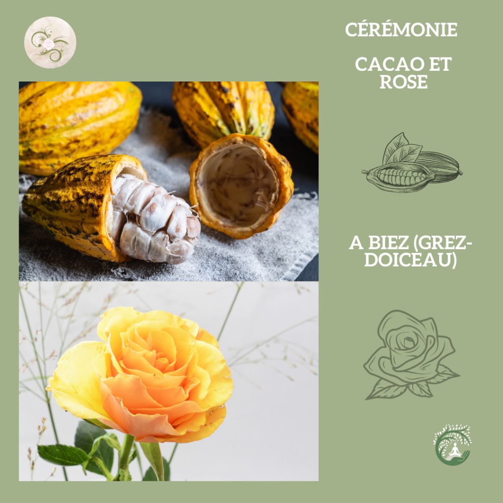 illustration Cérémonie Cacao et Rose