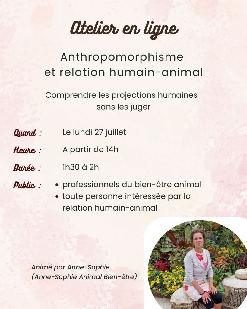 illustration Anthropomorphisme et relation humain-animal