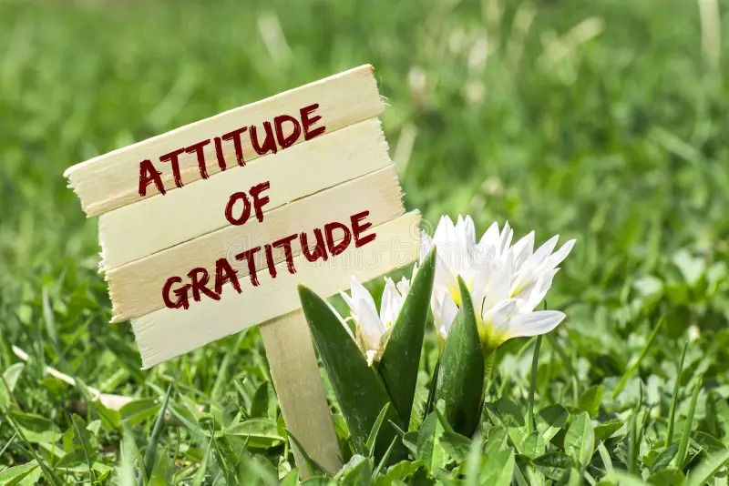 illustration Cultiver la gratitude même dans les moments difficiles : une lumière dans l’ombre