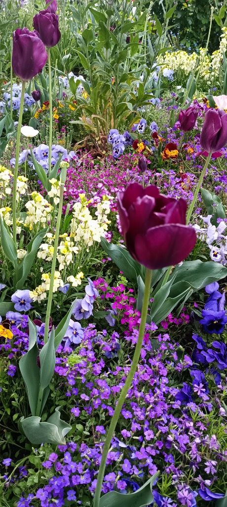 illustration Réflexologie plantaire printemps / allergies 🤧 fatigue