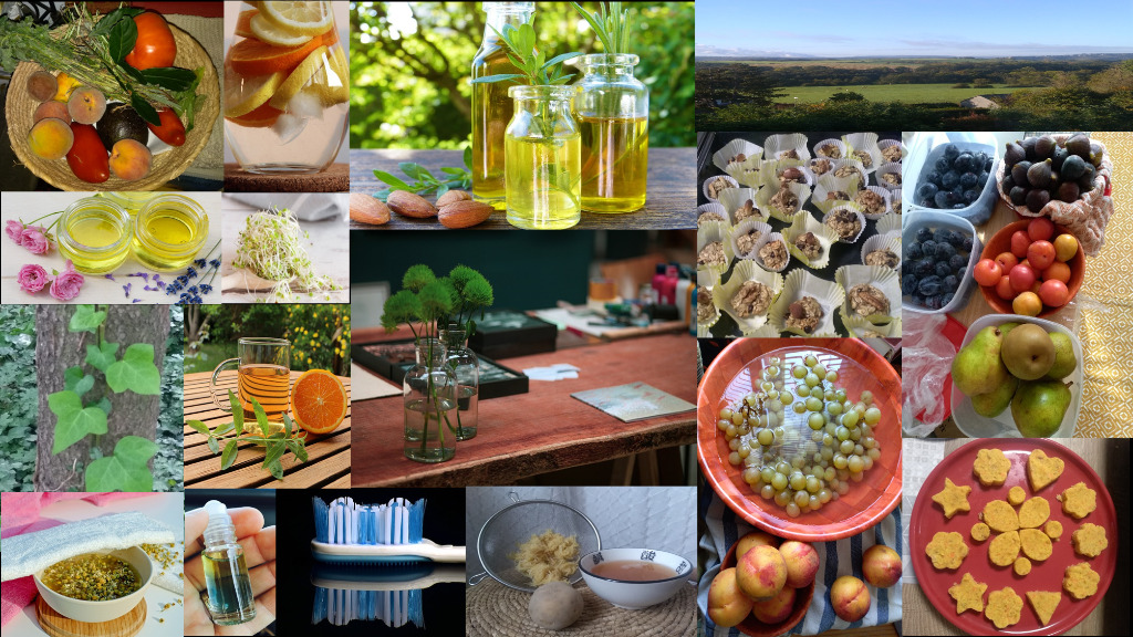 illustration -Votre atelier en naturopathie-