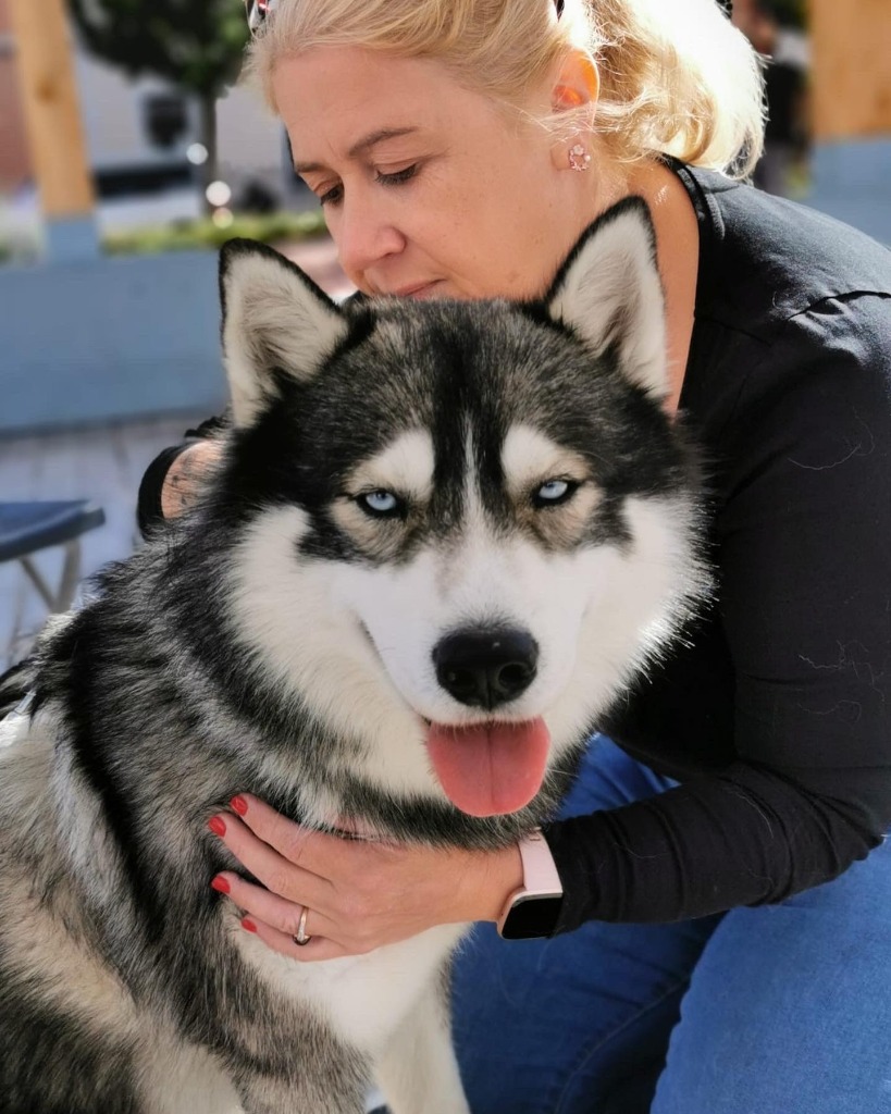 illustration Communication animale