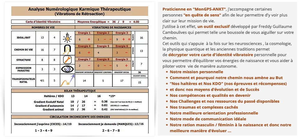 illustration Comprenez et libérez vous de vos blocages grâce à l'analyse de vos énergies