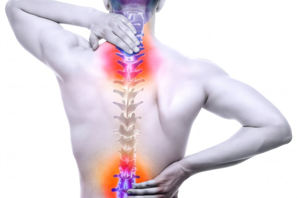 illustration Cure Bien être du dos avec la réflexologie !