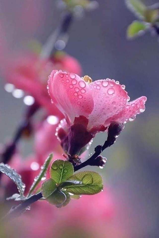 illustration Séance d'écoute, d'accompagnement, coaching d'1 heure (par téléphone) à 55 €