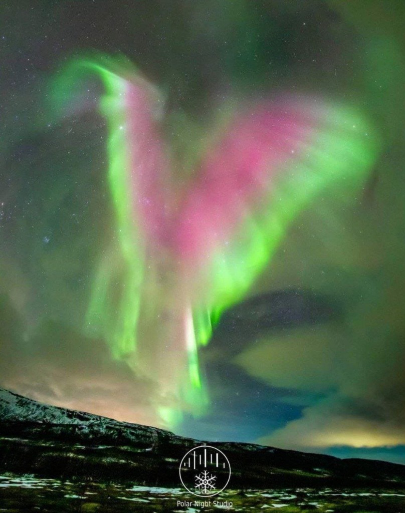 illustration Kinésiologie et Reiki à Naucelle - Restaurer la confiance en soi et l'estime de soi