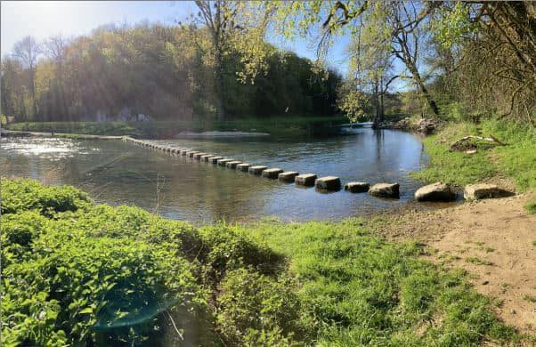 illustration Accompagnement en gestion du stress et des émotions