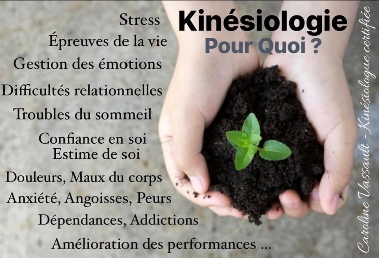 illustration Accompagnement en Kinésiologie