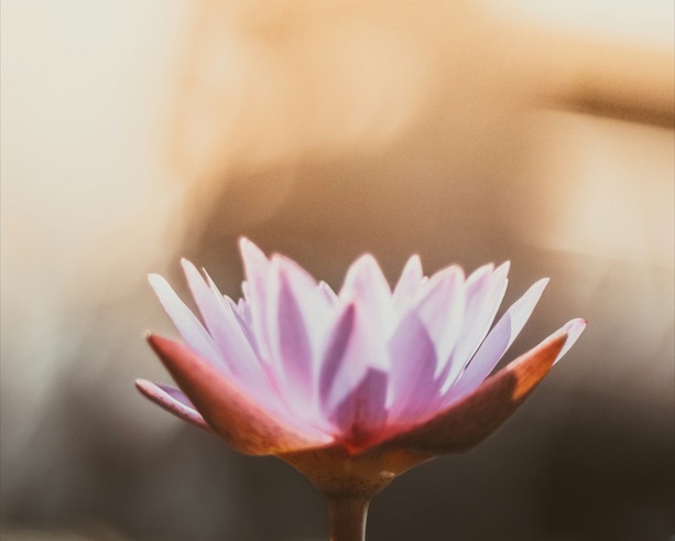 illustration Harmonisation énergétique