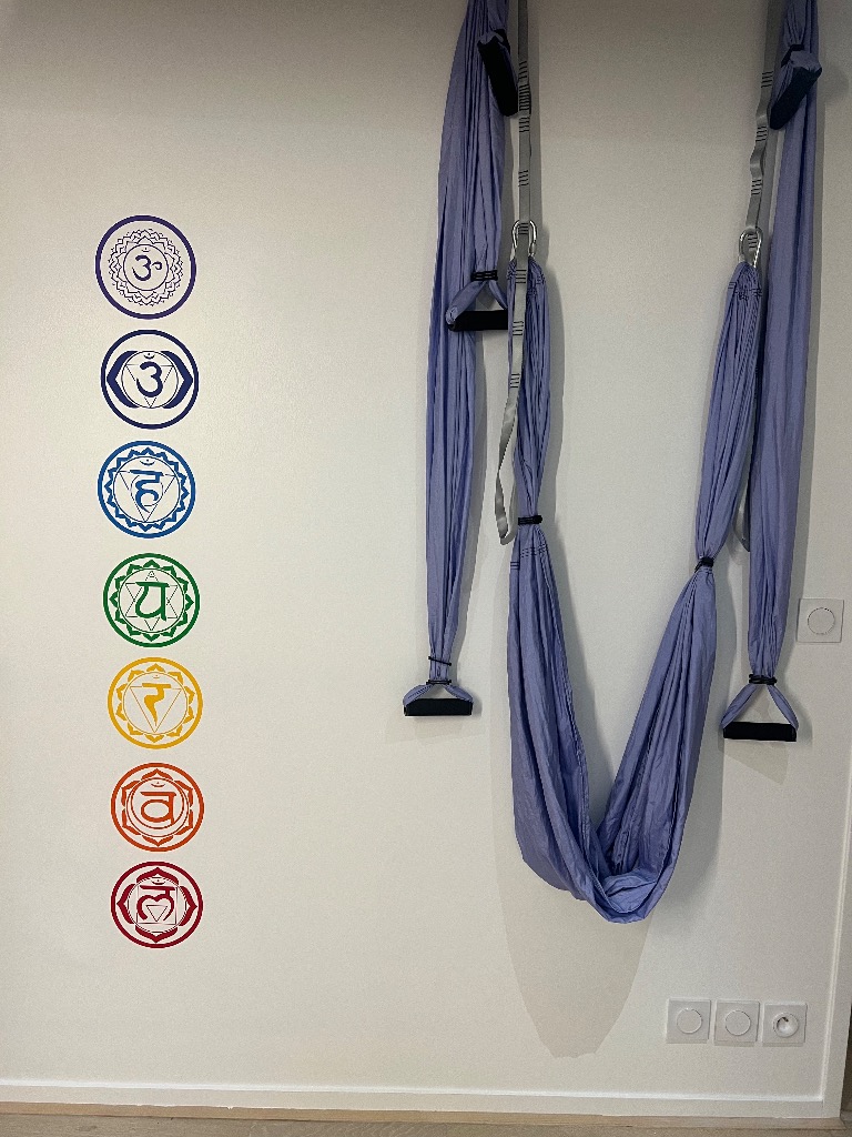 illustration Cours Yoga de l'alignement