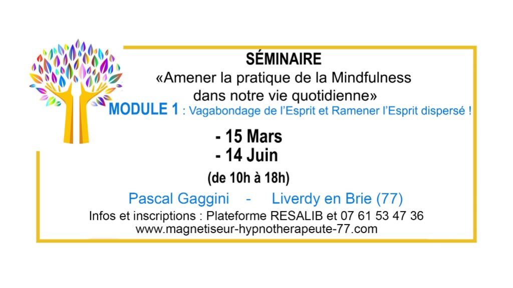 illustration SÉMINAIRE : AMENER LA PRATIQUE DE LA PLEINE CONSCIENCE DANS NOTRE VIE QUOTIDIENNE : 15 mars 2026 & 14 juin 2026  (Module 1)
