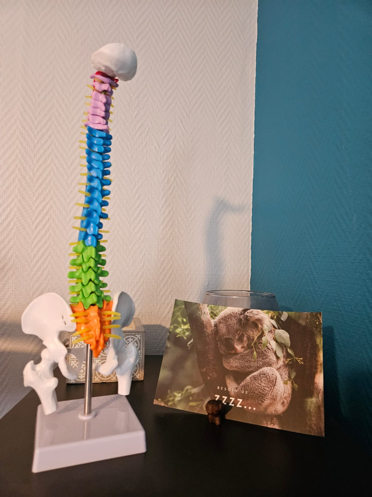 illustration Ostéothérapie tissulaire