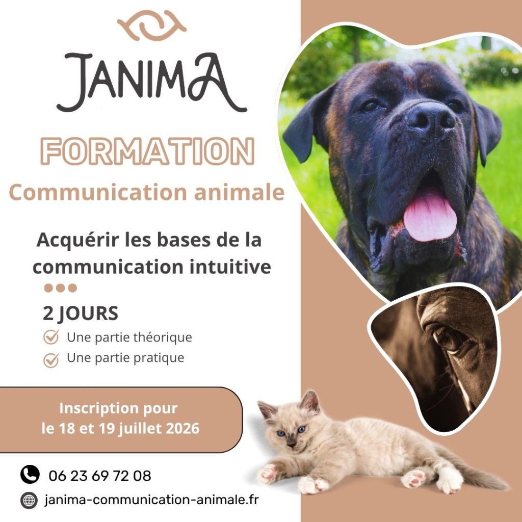 illustration Formation communication animale