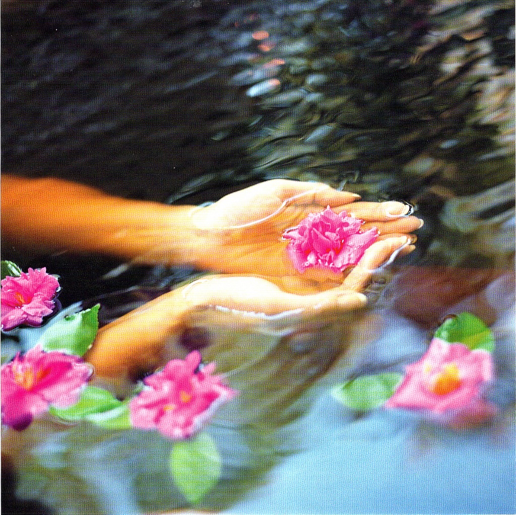 illustration A NAUCELLE AVEYRON - TRAITER ÉMOTIONS, ANGOISSE, DÉPRIME, INSOMNIES, STRESS, TRAUMATISMES... PAR LA KINÉSIOLOGIE