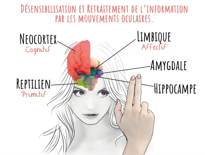 illustration DNR Deep Neural Repatterning (Concentré efficient de l'EMDR-IMO-RTMO)