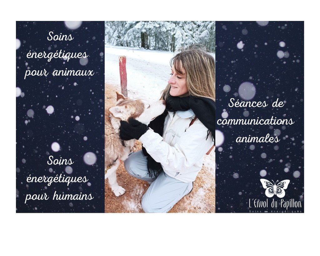 illustration Soin énergétique pour un animal/séance de communication animale (à distance, avec compte rendu détaillé) - 70 €