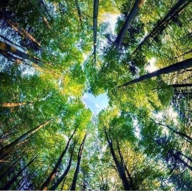 illustration 5 IDÉES FAUSSES SUR L'HYPNOSE