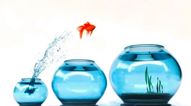 illustration Hypnose et PNL, double efficacité!