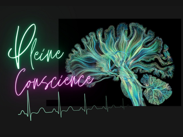 illustration Atelier Pleine Conscience samedi 30 mai 2026 de 15 à 17h