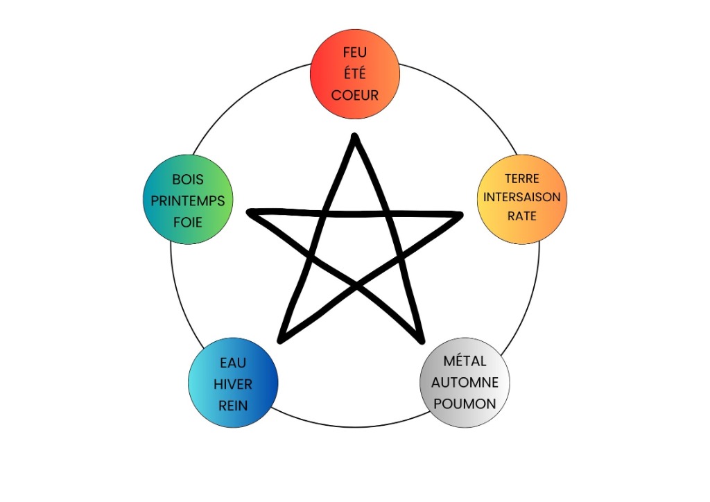 illustration LES 5 SAISONS EN MÉDECINE CHINOISE : UN ART DE VIVRE