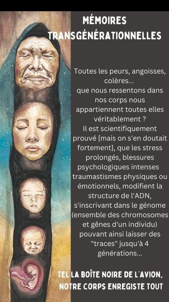 illustration Héritage trans-générationnel  la séance à 97€