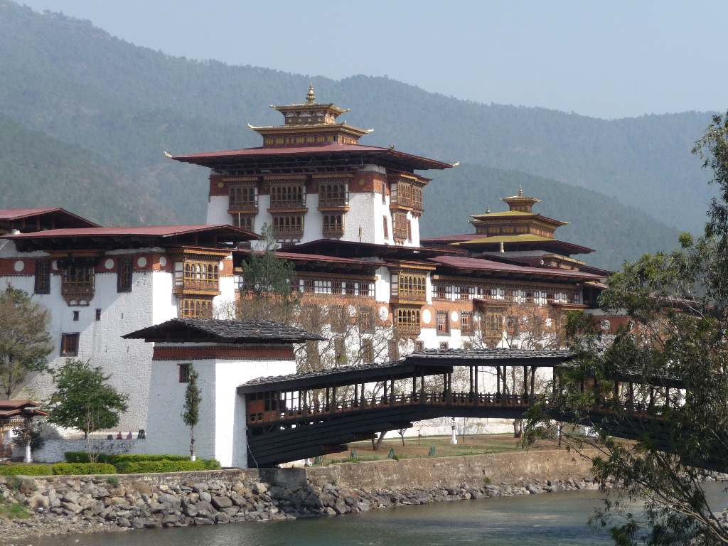 illustration REIKI 1 ER degré