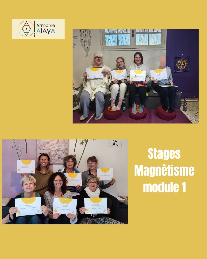 illustration Magnétisme module 1 les 1er et 2 mai 2026