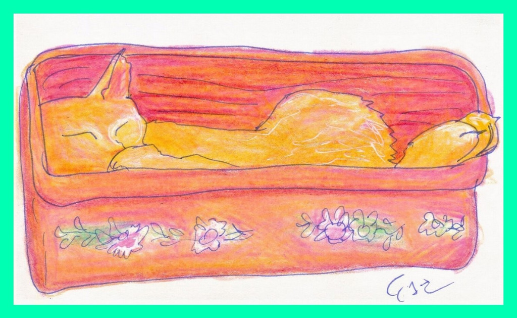 illustration Pour...les animaux !