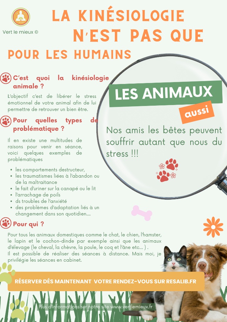 illustration LA KINÉSIOLOGIE ANIMALE, C'EST QUOI ?