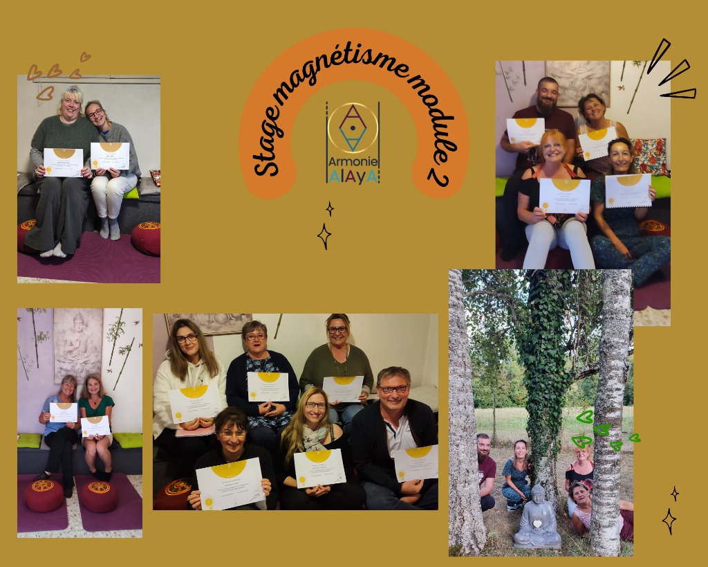 illustration Magnétisme module 2 le 03 mai 2026