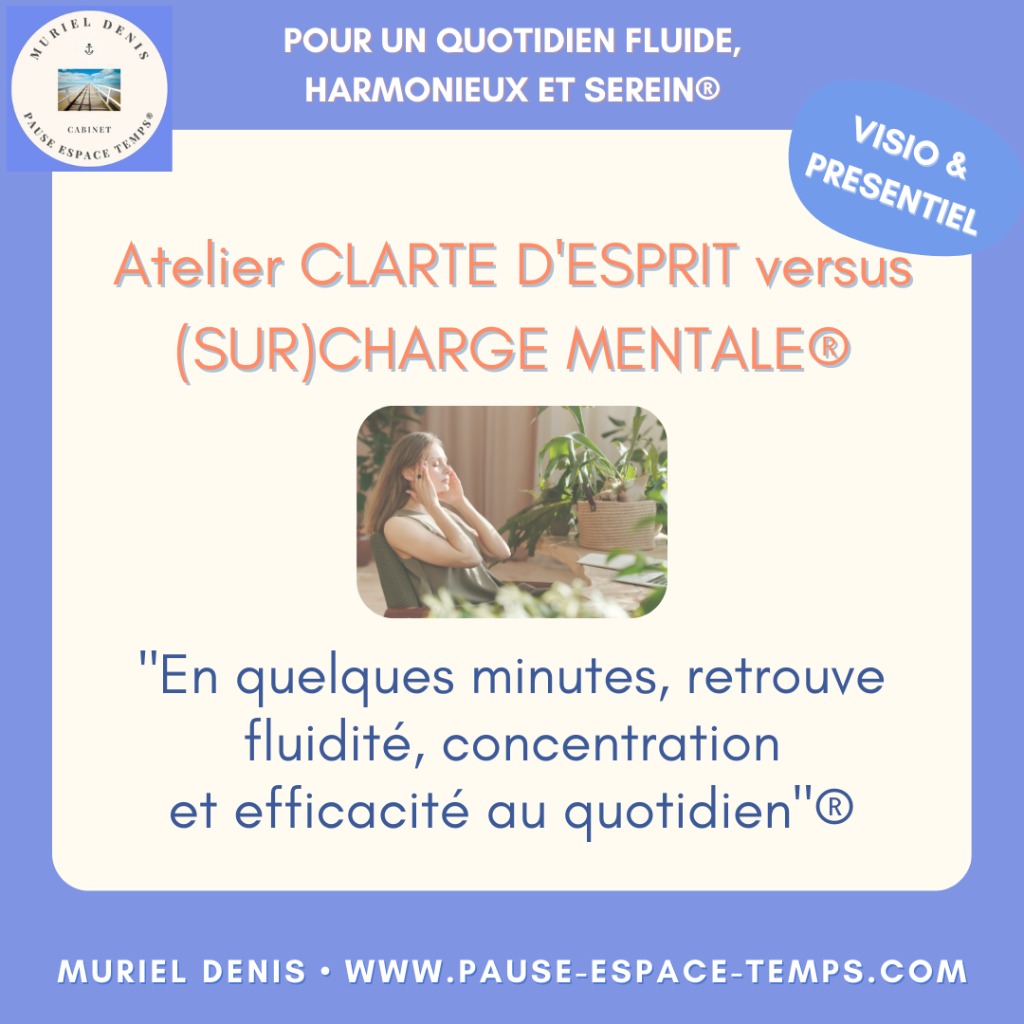 illustration Atelier "CLARTE D’ESPRIT versus (SUR)CHARGE MENTALE® (1h30)