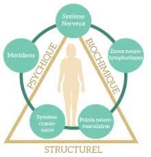 illustration la kinesiologie