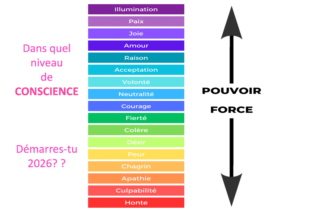 illustration En seulement 6 mois,  réussir à s'épanouir dans sa vie professionnelle et personnelle sans sacrifier l'une pour l'autre, c'est possible !