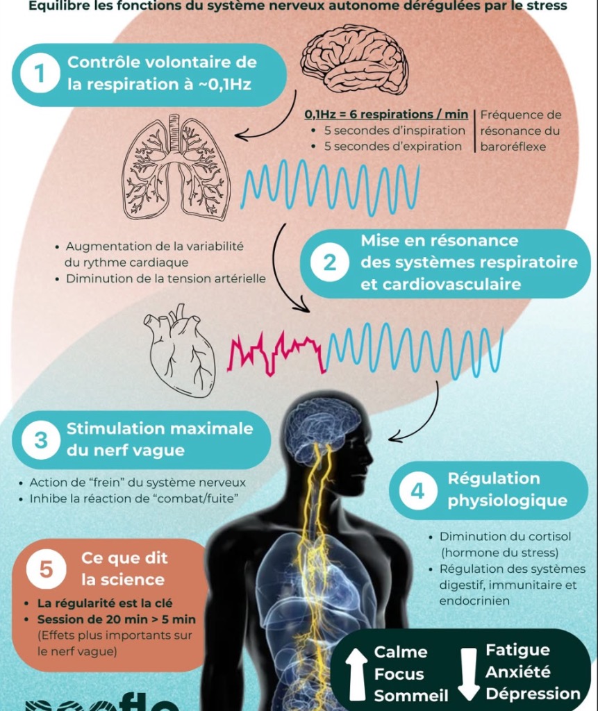 illustration Cohérence cardiaque