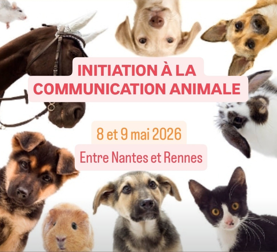 illustration Initiation à la communication animale