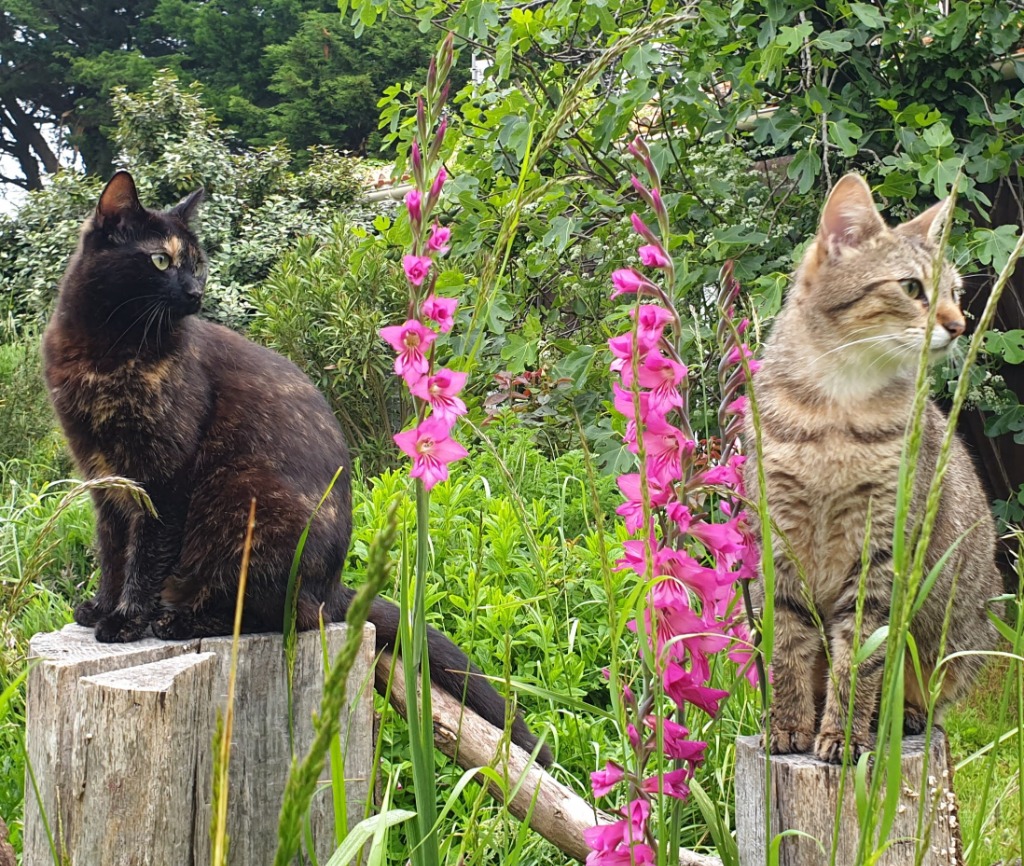 illustration Comment apprendre à prendre soin de soi pour mieux vivre sa vie ?